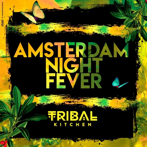 VA - Amsterdam Night Fever [4056813445411]